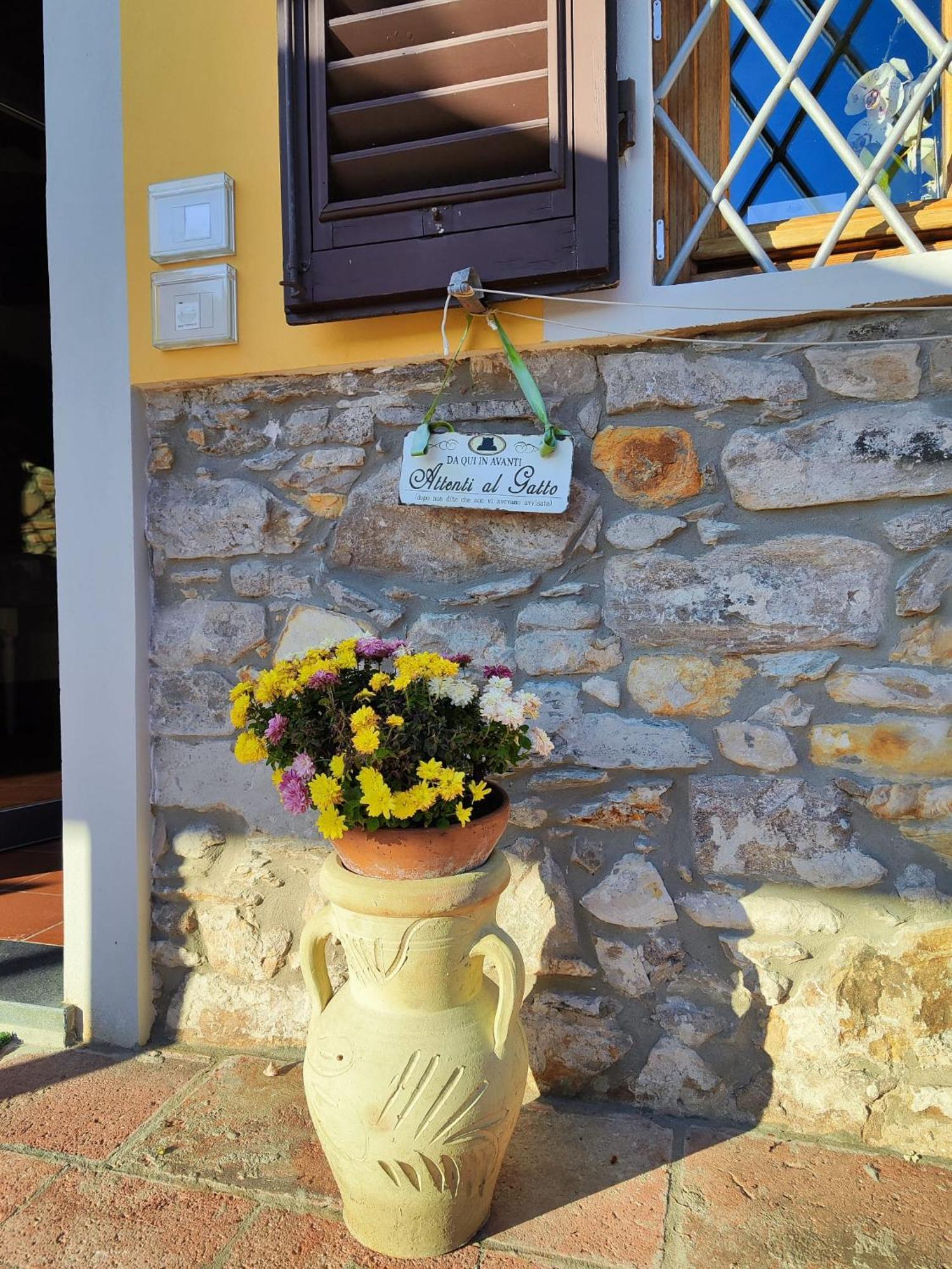 B&B Toringo Capannori Esterno foto