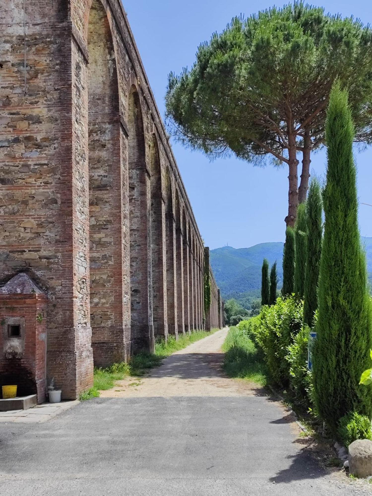 B&B Toringo Capannori Esterno foto