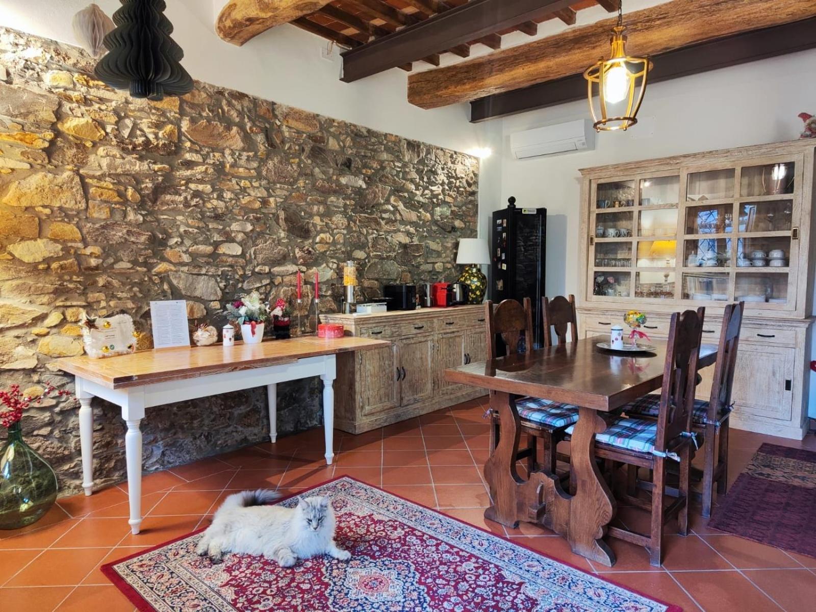 B&B Toringo Capannori Esterno foto